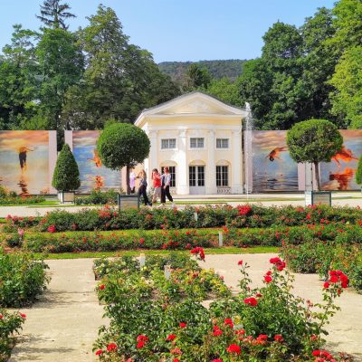 WhatsApp Image 2025-07-22 at 14.21.40 (1)