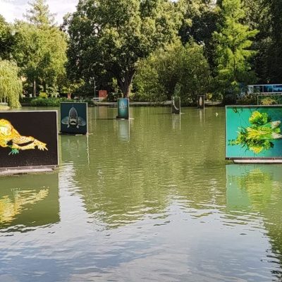 WhatsApp Image 2025-07-22 at 14.21.40 (2)